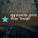 qyxaviu.pro